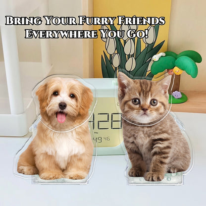 Personalized Pet Bobblehead – Solar & Battery Powered Perfect Gift for Pet Lovers