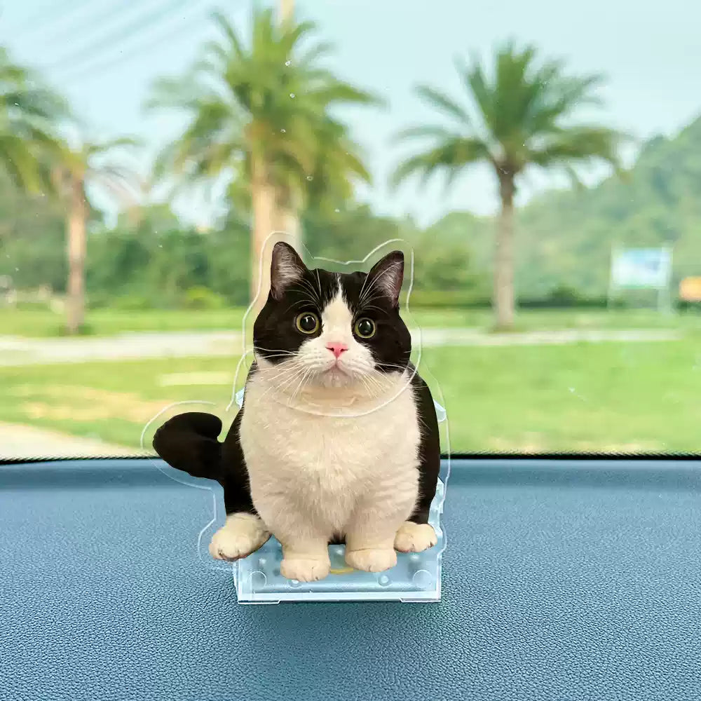 Personalized Pet Bobblehead – Solar & Battery Powered Perfect Gift for Pet Lovers