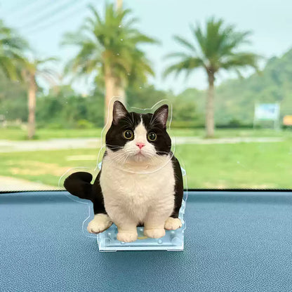 Personalized Pet Bobblehead – Solar & Battery Powered Perfect Gift for Pet Lovers