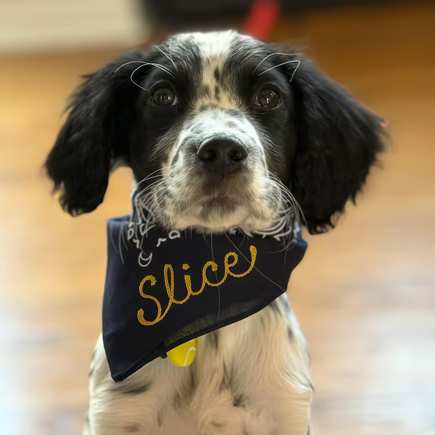Personalized Dog Bandana with Name | Custom Chainstitch Embroidery